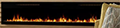 Vital Sense.png